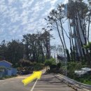 제일신진타운 이미지