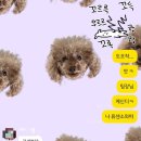 거어진 4달치 나으 일쌍