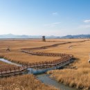 갯골생태공원(소금창고) | [시흥 갯골생태공원] 🏞️ 소금창고와 갯벌의 조화, 생태 드라이브 코스