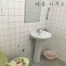 밤고개시장 이미지