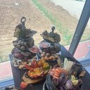 오아시스포차 이미지