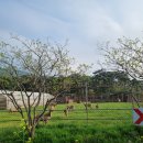 부안사슴농장 이미지