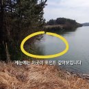 평지낚시