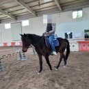 웅지승마센터 이미지