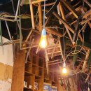 바바나무 이미지