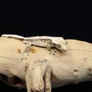 선주로-4 이미지