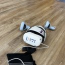 대명초등학교 이미지