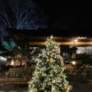 율하4로R | [경북/구미] 크리스마스 데이트 갈만한곳 한옥카페 화담