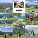 진규목장 이미지