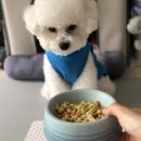 구르미맘마 이미지