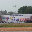 가자횟집