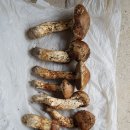 황토와통나무별장 이미지