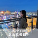 파운틴스튜디오 - 마포구 동교로8길 39 | 라스베가스 코스모폴리탄 테라스 스튜디오 파운틴뷰 블러바드 타워 20불 트릭 실패 67층 후기