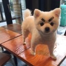 씨유 고잔이편한점 | [안산 고잔] 자연스럽게 인상 Up! 르블랑 뷰티 남자자연눈썹 내돈내산 후기 ✨