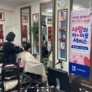 마를린헤어 이미지