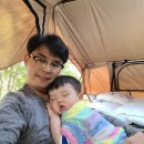 주식회사 해솔팜 | [ 캠핑 ] 카이트 텐트트레일러와 함께한 화순 [ 숲속의 베리팜 ]