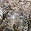 영산스포츠타운 이미지