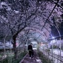 광천북길 티스토리