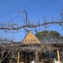 장수돌솥밥 | 경북 청도의 건강식 불로장수식당 대구 근교 돌솥밥 정식으로 유명한 한식 맛집 방문 후기!!