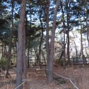 우장산둘레길 이미지