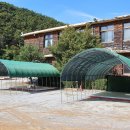 노동오토캠핑장 이미지