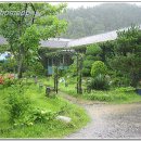 명가오리 이미지