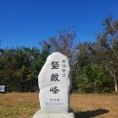 2020-주147 이미지