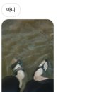 득템 이미지