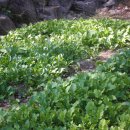 푸른산농장 이미지