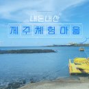 아이로제주 | 제주체험마을 전통테우낚시 아이와 즐기는 제주 이색낚시체험 내돈내산 후기