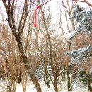 어우렁국수 이미지