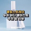 아이니즈잇 | 쿨링스프레이 두피 바디 냉각스프레이 아로마향으로 냄새제거 쿨미스트 후기
