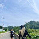 수목화 송정마을 오토캠핑장 이미지