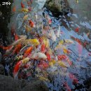 6496 | 고국수 추천 제주 고기국수 맛집 영업시간 주차 리뷰 정보