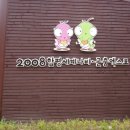 돈버는나비
