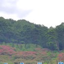 맑은산장농원 이미지