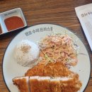 고운누리소아청소년과의원 | 세종 해밀동 신상 도톰한 돈까스 맛집 맹호수제돈까스