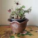 정골농장 이미지