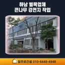덕풍1동 | 하남 벌목업체 큰나무 강전지 작업