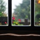 은빛 비치는 돌 이미지