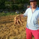 정만농장 이미지