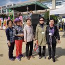 동락초등학교 이미지