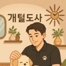 개털도사