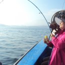 경포대오토캠핑장 이미지