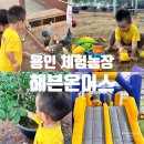 준우농장 | 용인 체험농장 비 오는 날 아이랑 가볼만한 곳 헤븐온어스