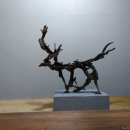 조록나무 뿌리 형상물 이미지