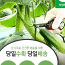 레시피 식자재 이미지