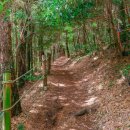 저지오름주차장 이미지