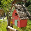 좌구산자연휴양림 이미지