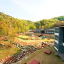 평창자연휴양림 이미지